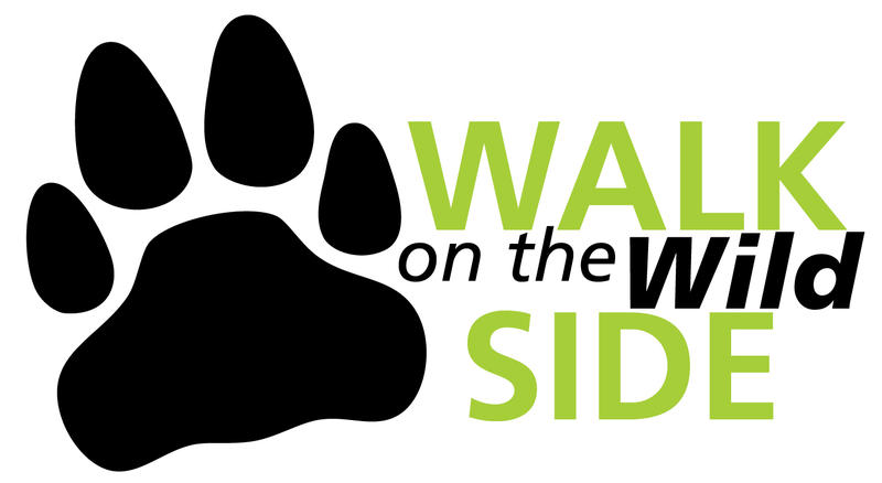 Walk On The Wild Side