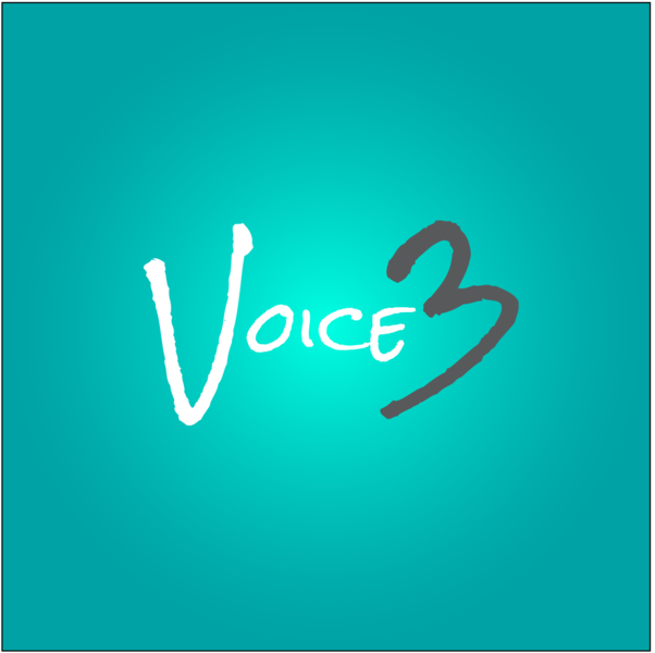 Voice3