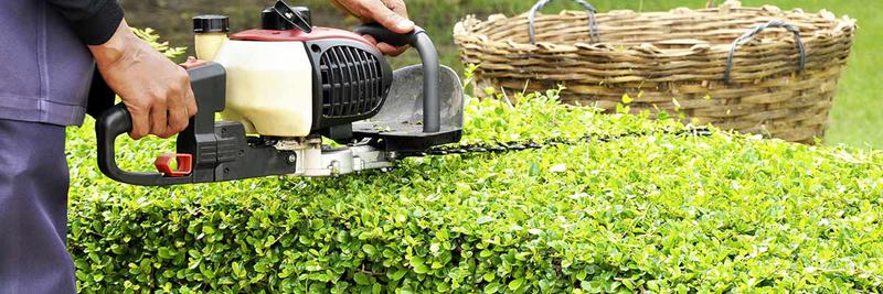 Jim's Tree & Stump Removal: Coffs Harbour