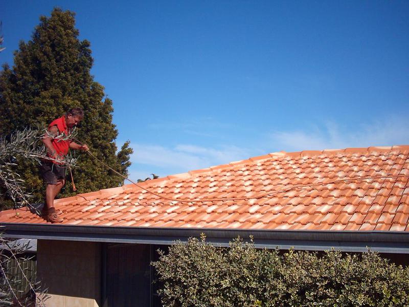 Topdogs Roof Restoration