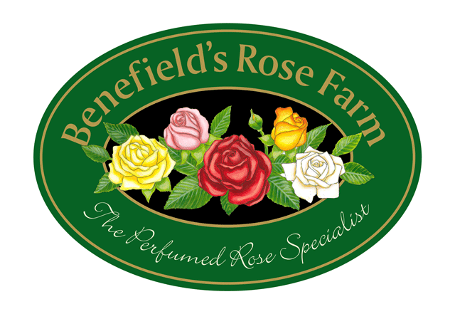 Benefield's Rose Farm