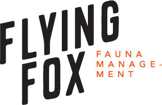 Flying Fox Fauna Management