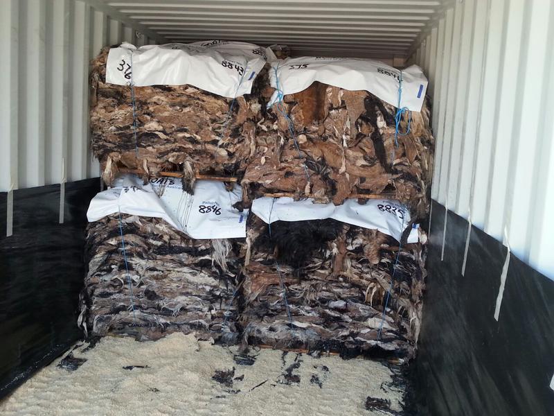Kookaburra Global Pty Limited
