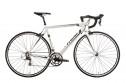 Reid Cycles: Collingwood