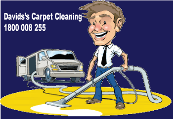 David's Carpet Cleaning