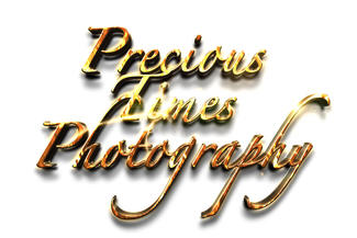 Precious Times Photography logo