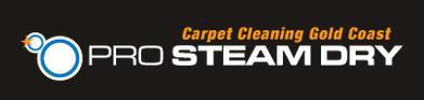 Pro Steam Dry logo
