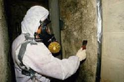 Avologi Building Inspection