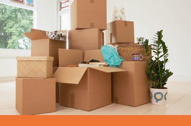 Movers & Packers