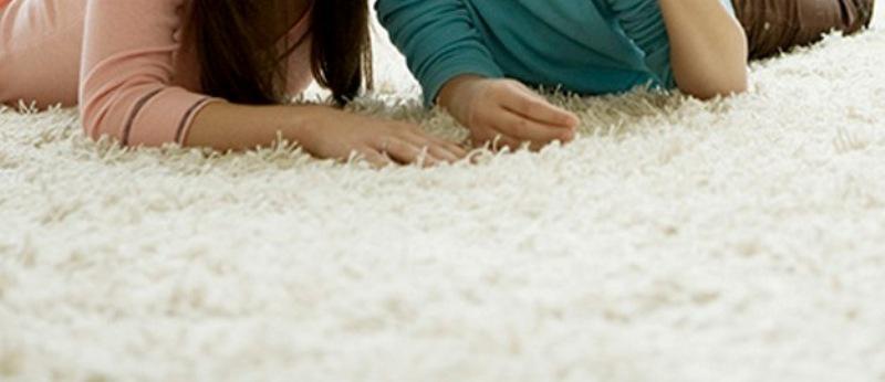 Best Carpet Cleaning Australia