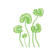 Fremantle Natural Health