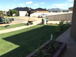 Glennperry Gardening