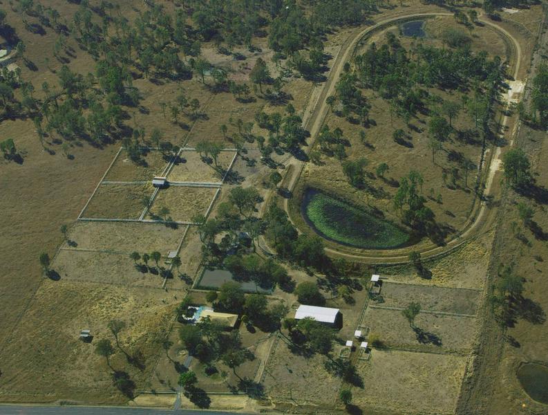 Pegasus Place Stables