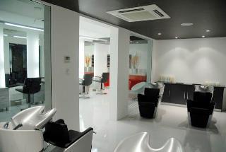 Kabuki Hair Cutters