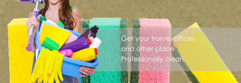 Polar Cleaning