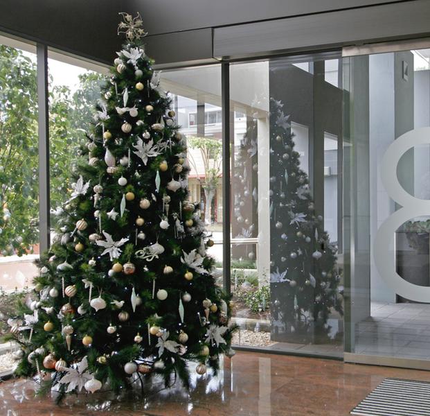 Kinzone Christmas