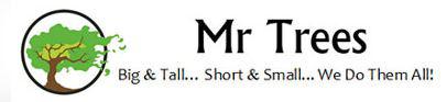 Mr Trees