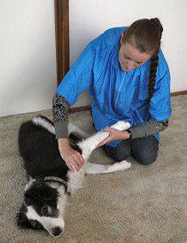 K9 Kneads