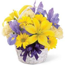 Melbourne Fresh Flowers: Malvern East