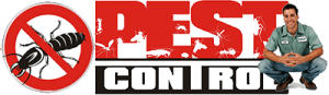 Pest Control Gold Coast