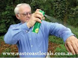 East Coast Locals