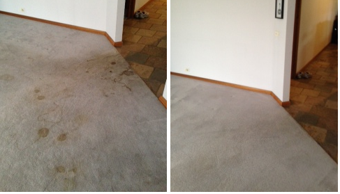 Certified Carpet Cleaning and Restoration