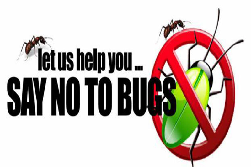 Natraspray Pest Control: Wallsend