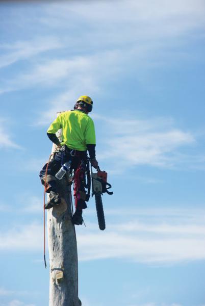 Crown To Ground Tree Services