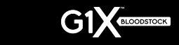 G1X Bloodstock