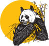 Bamboo Connnection