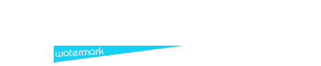 Smart Approved Watermark
