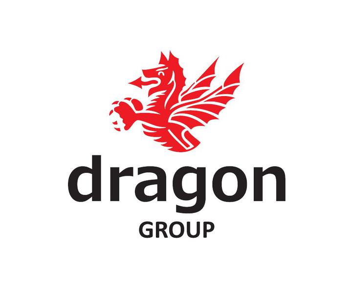 The Dragon Group logo
