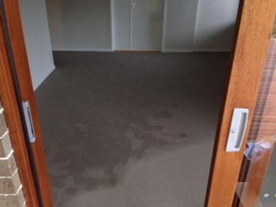 Wet Carpet Cleaners: Pascoe Vale