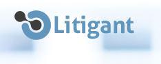 Litigant
