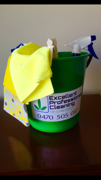 Excellent and Professional Cleaning