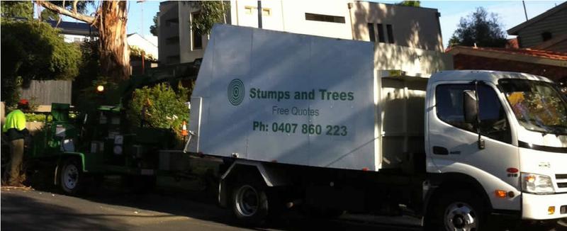 Stumps and Trees