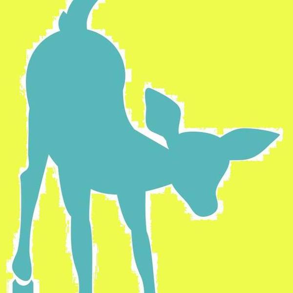 Bokkie Kids logo