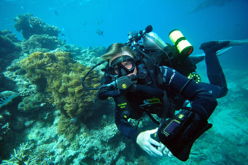 Dive Career Centre