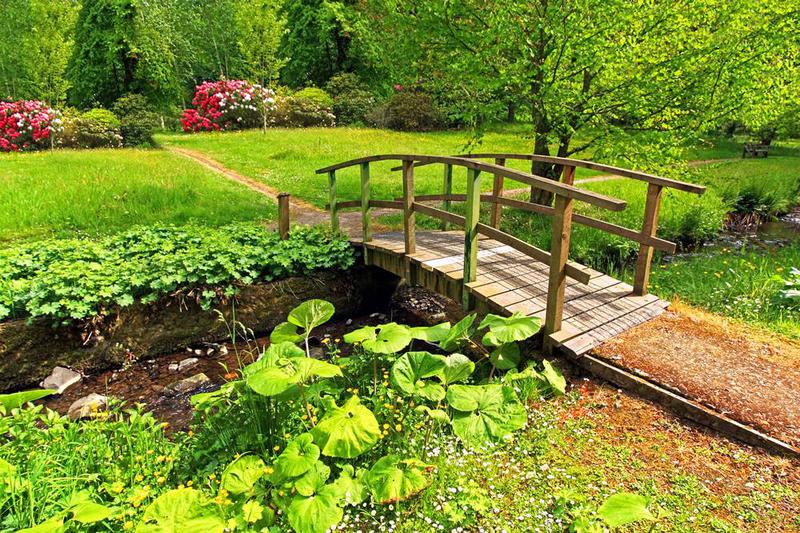 Daniel Ellis Landscaping