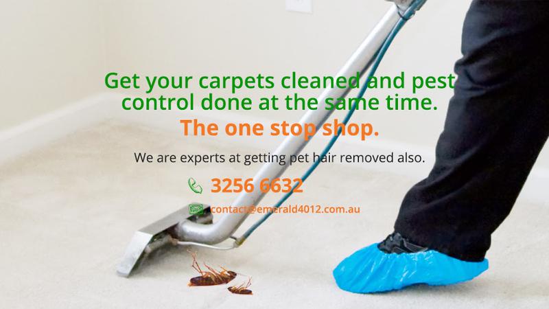Emerald Carpet Cleaning and Pest Control Services