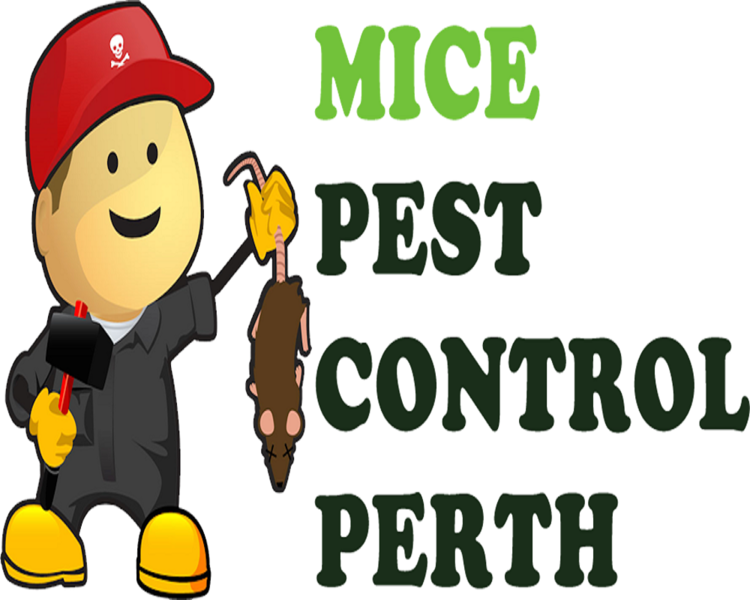 Mice Pest Control Perth