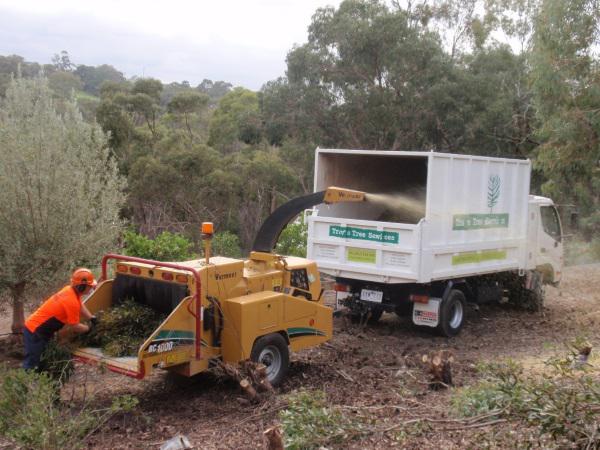 Trav's Tree Services