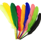 Feather
