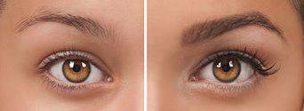 Feathered Brows