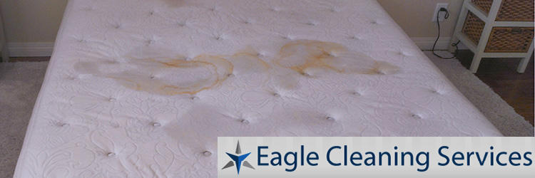 Eagle Cleaning Services