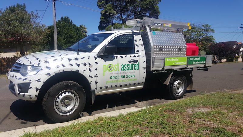 Pest Assured