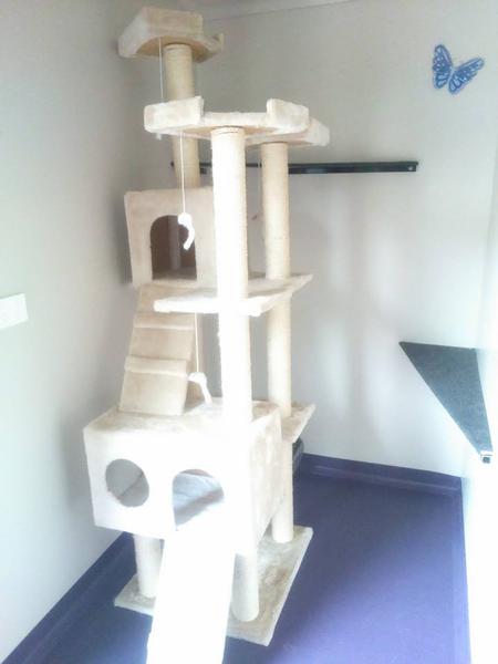 Bay & Basin Boutique Pet Boarding