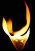 Fyregear logo