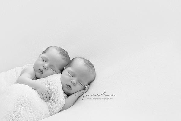 Paula Andrews Photography