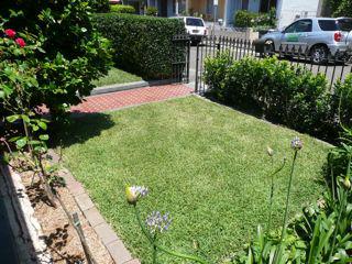 Vision Enviro Lawn & Landscape